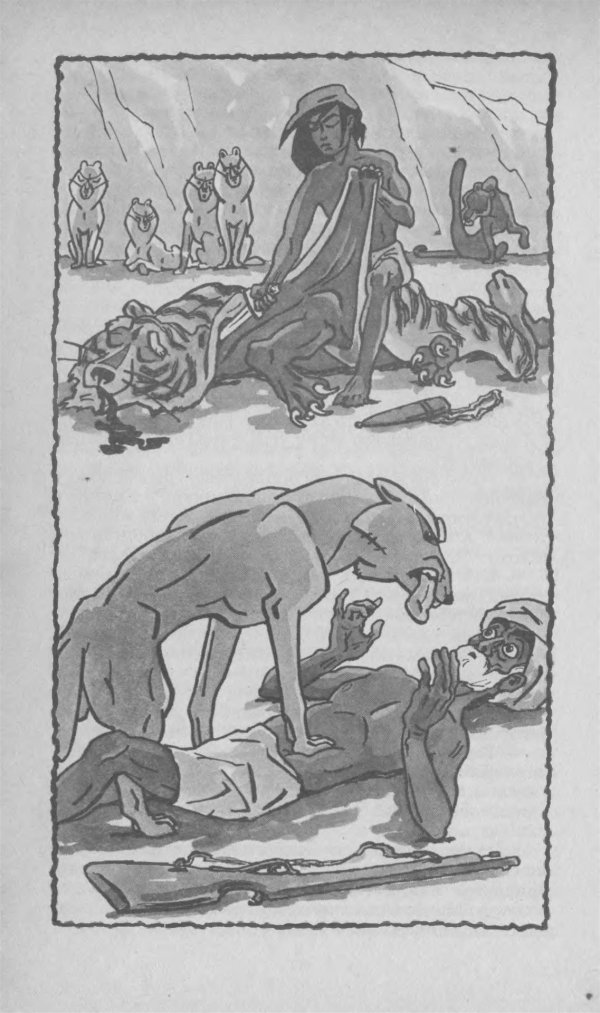 маугли иллюстрации к книге