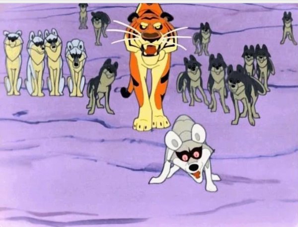 шерхан и шакал табаки