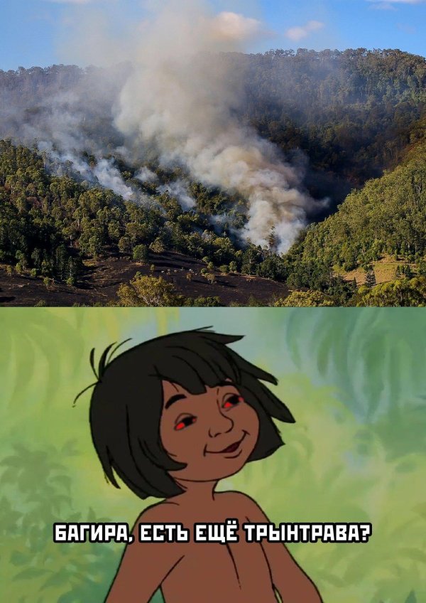 пожар в лесу