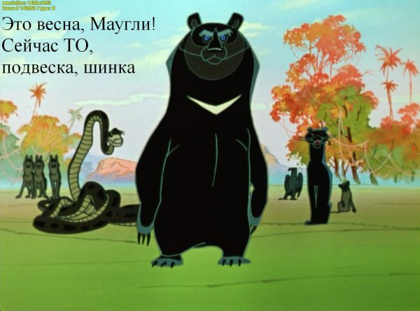 медведь из маугли