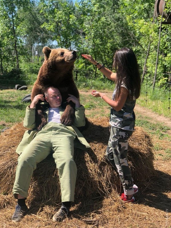 медведь мансур