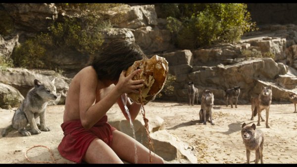 книга джунглей 2016 ракша