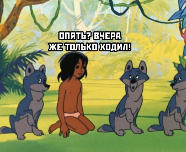 сказка маугли