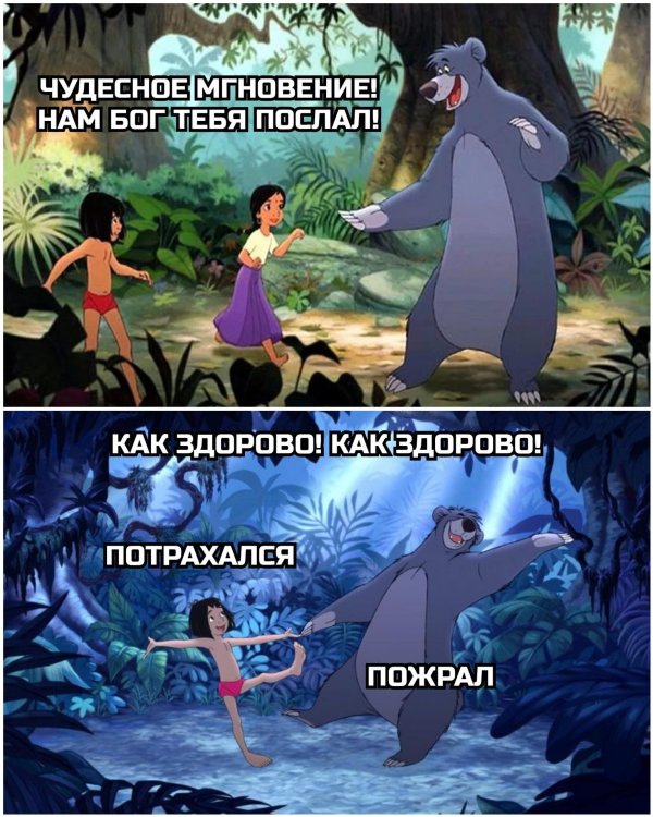 книга джунглей мультик