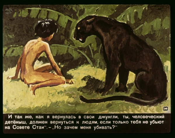 диафильм маугли ркиплинг