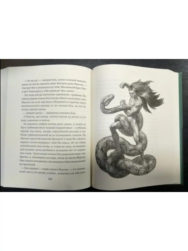 маугли иллюстрации