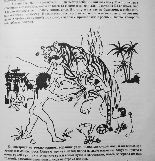 иллюстрация маугли