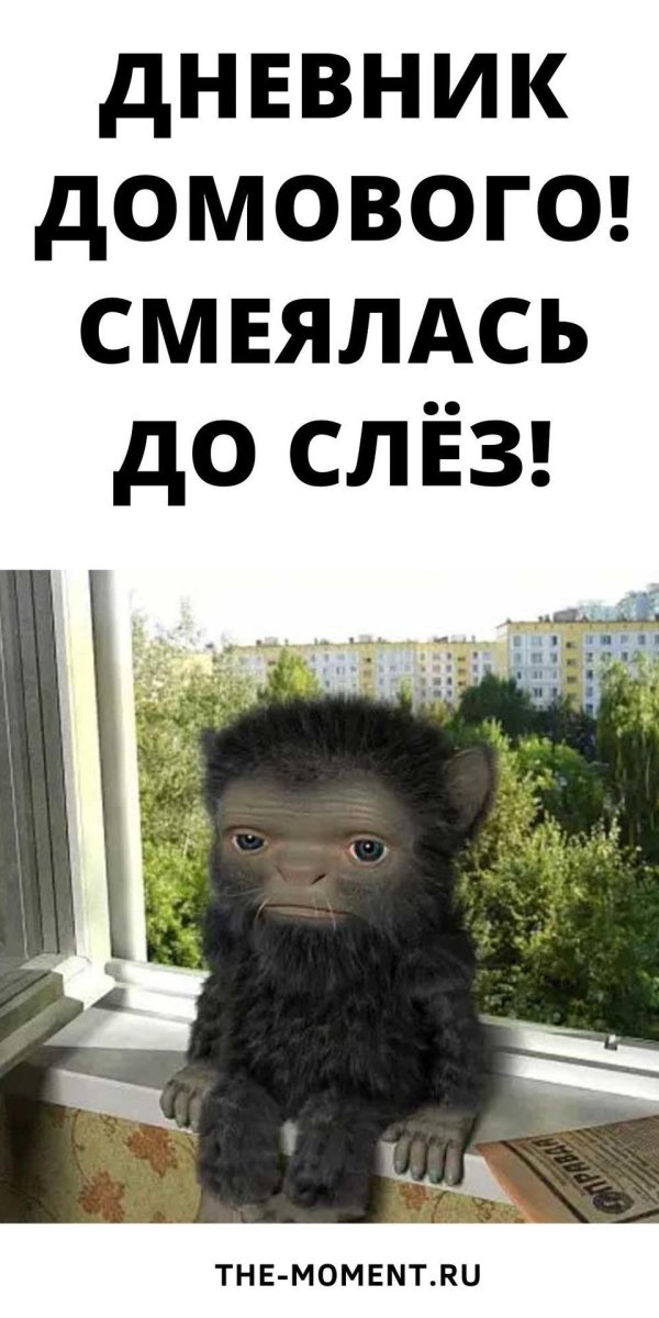 веселые высказывания