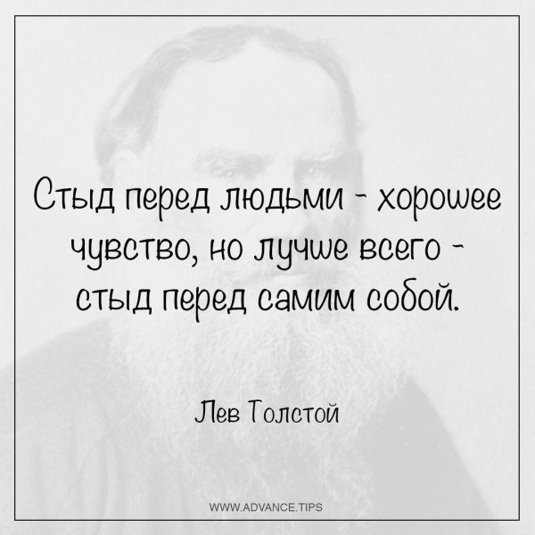 цитата толстого