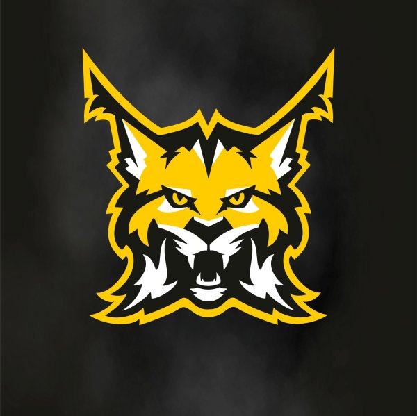 рысь команда