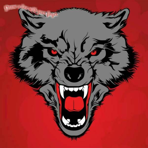 оскал волка рисунок