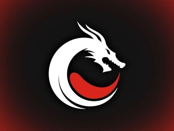 команда драконов