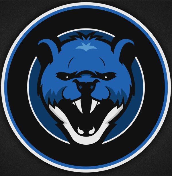 лого команд