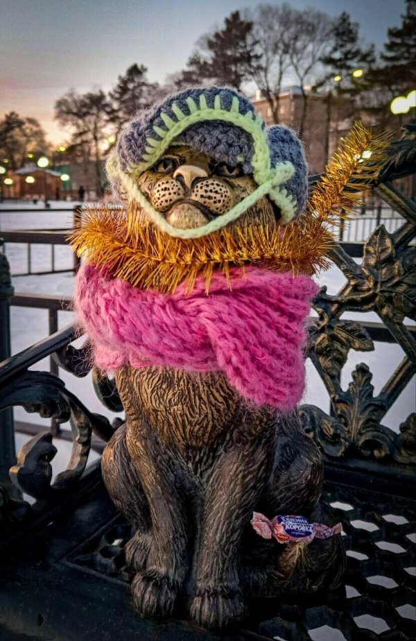 невозмутимый кот