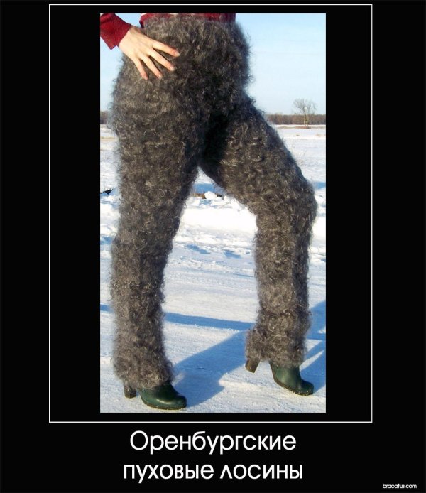 мохнатые штаны