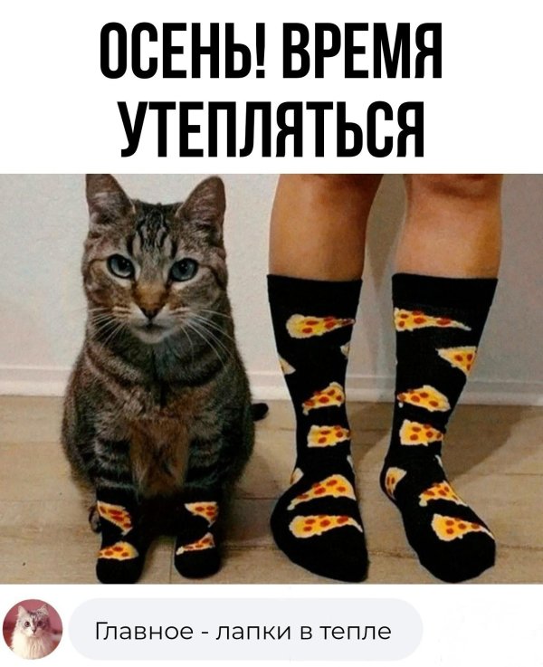 приколы юмор