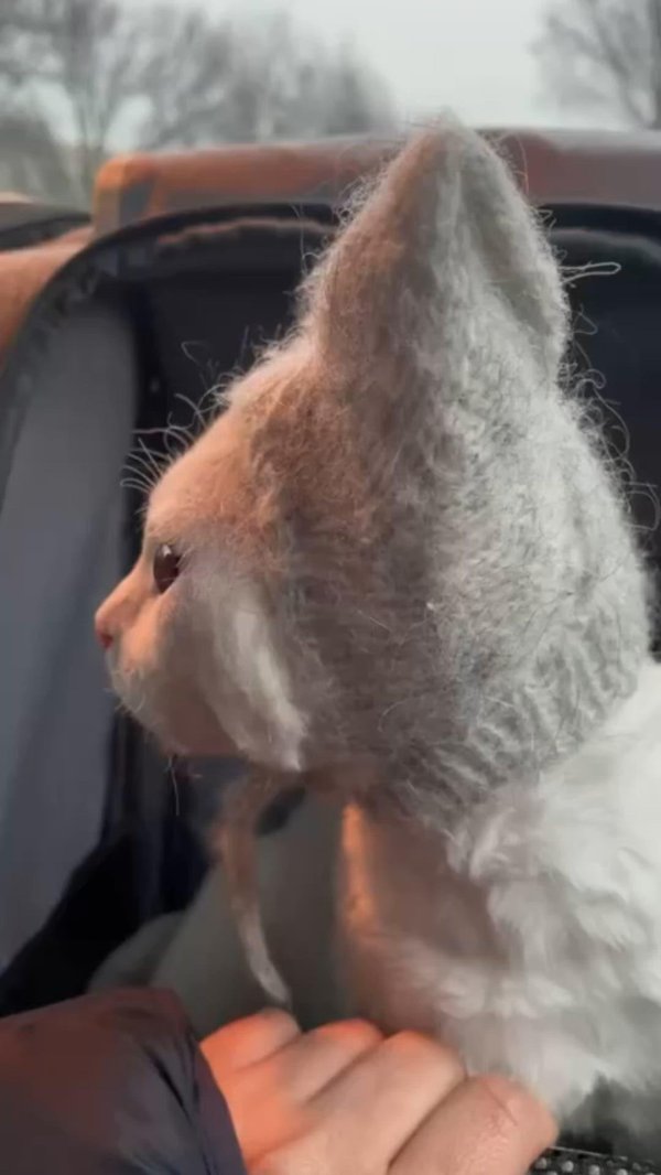 чепчик с ушками