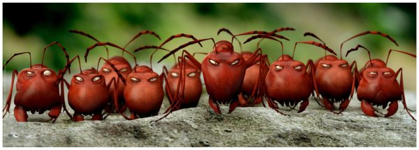 minuscule букашки