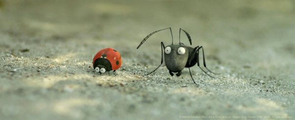 букашки приключение в долине муравьев