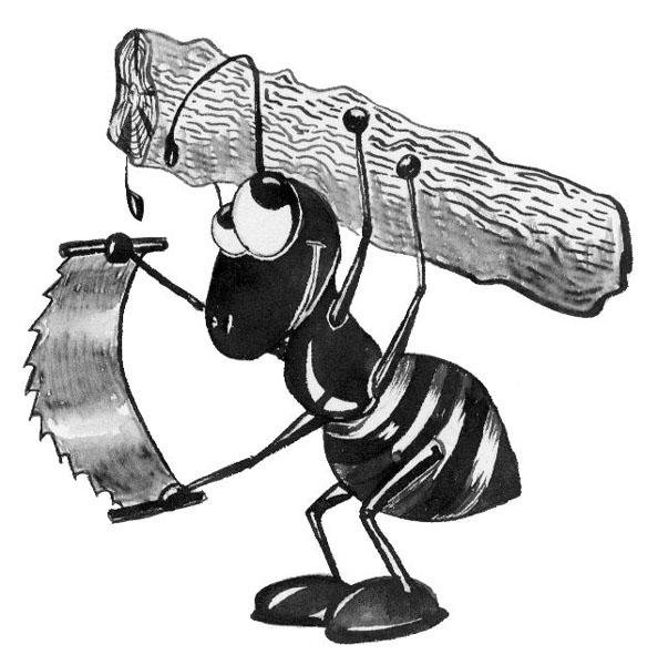 тематический день муравьишка