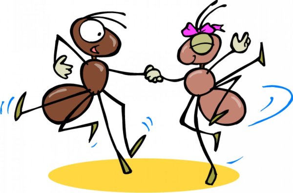 веселый муравей