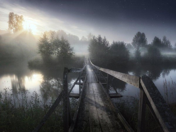 туманная ночь