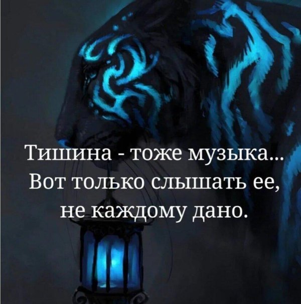 синие тигры