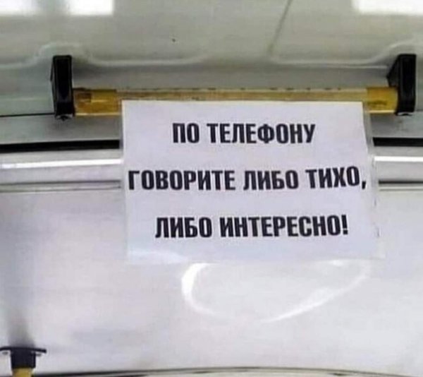 автобус смешной