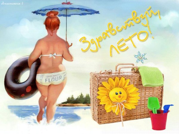 похудение к лету юмор