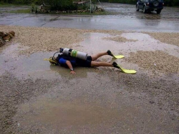 отпуск прикол