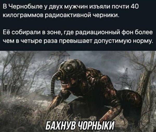 снорк чернобыль