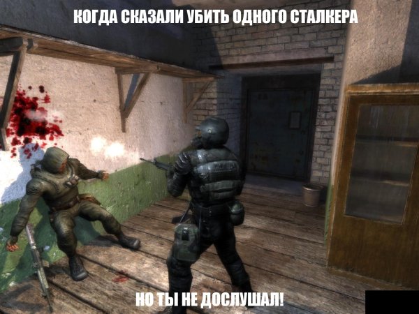 сталкер группировка