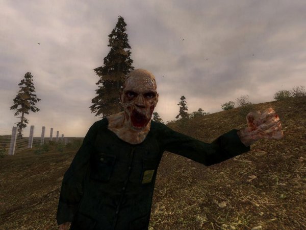 болотный доктор сталкер