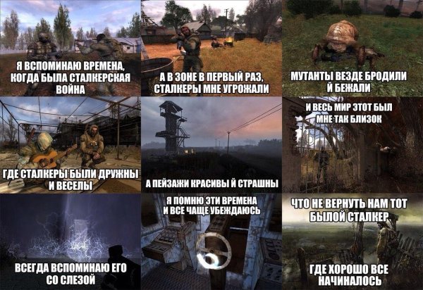 зона сталкер