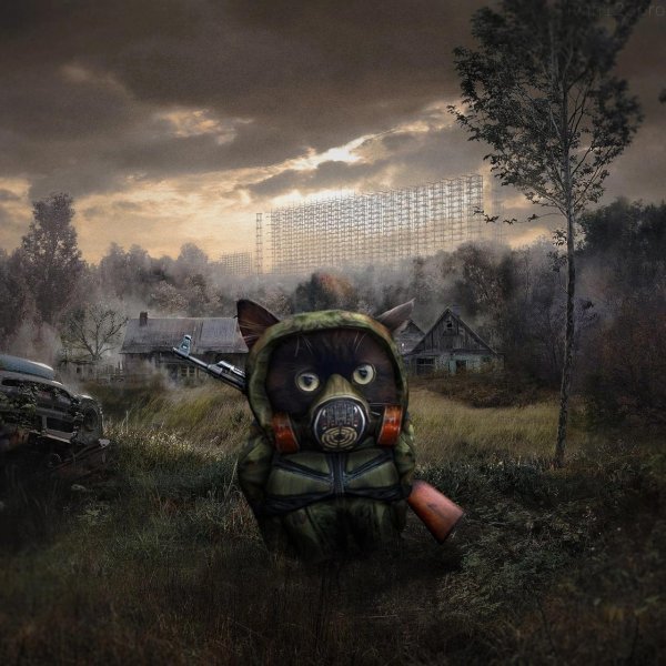 stalker 2 сердце чернобыля