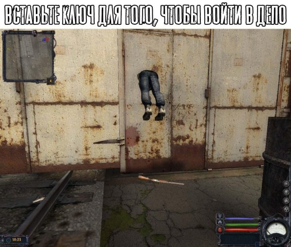 сталкер скрины смешные