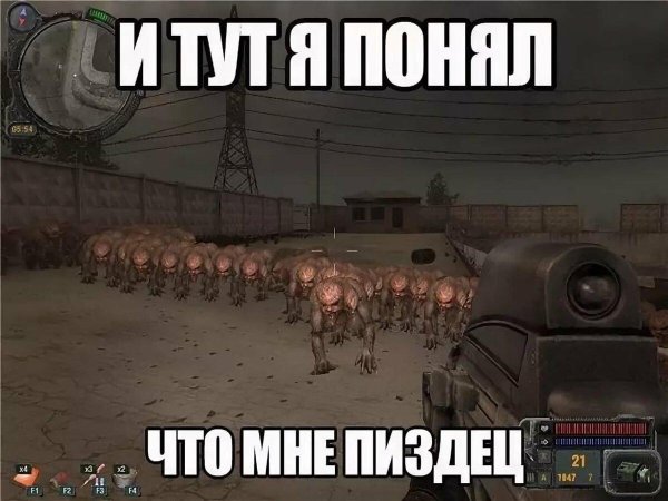 приколы сталкер