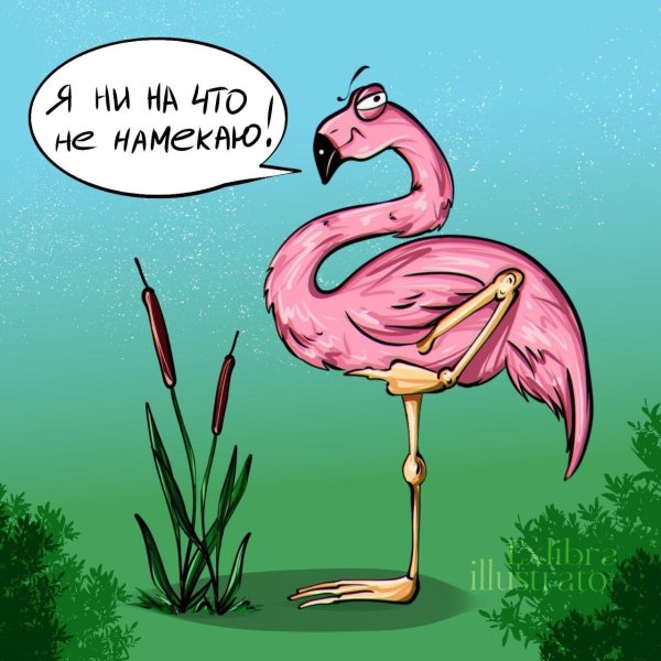 фламинго рисунки