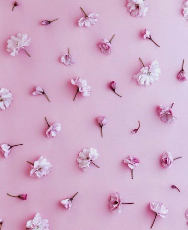 пинтерест розовый