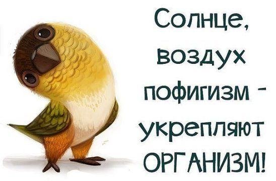 пофигизм укрепляет организм