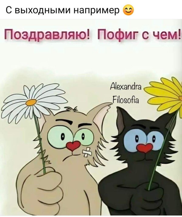 открытка прикольная