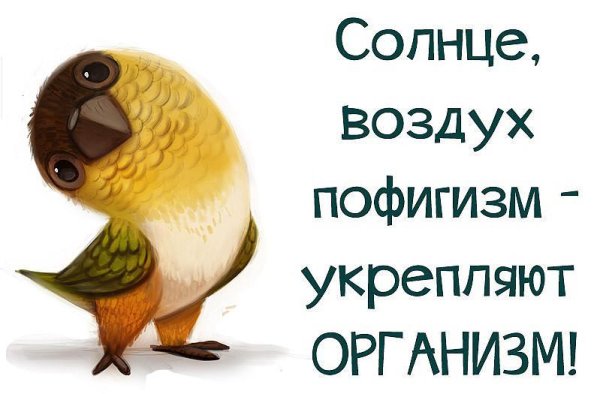 пофигизм укрепляет организм