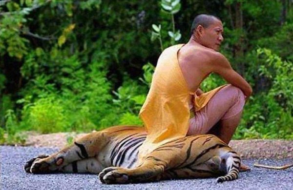 невозмутимый человек