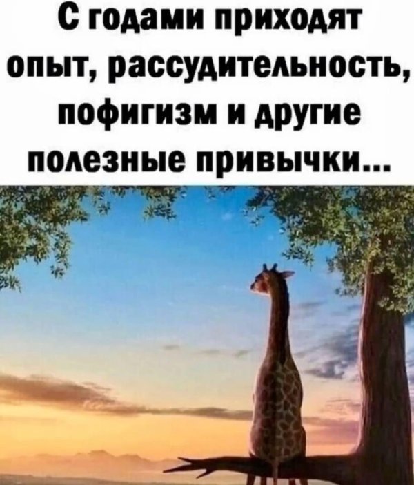 жираф прикольный