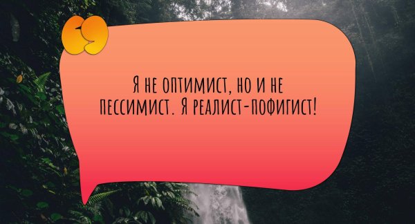 пессимист оптимист