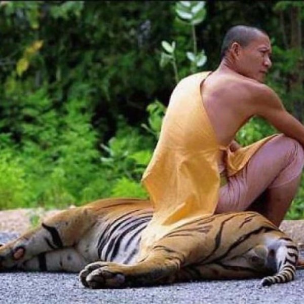 буддийские монахи