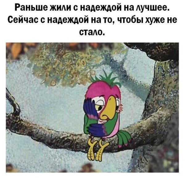 попугай кеша персонажи