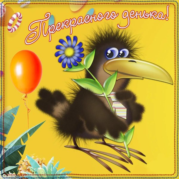 галчонок с днем рождения