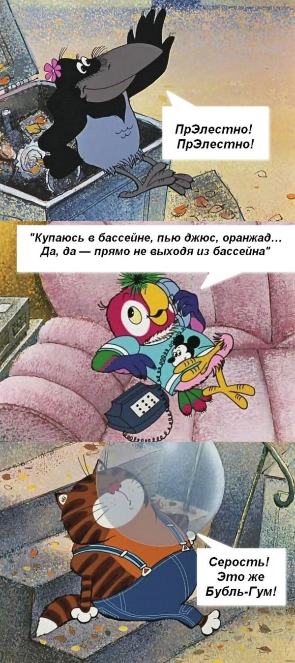 мультик кеша попугай