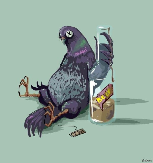 голуби мультяшные